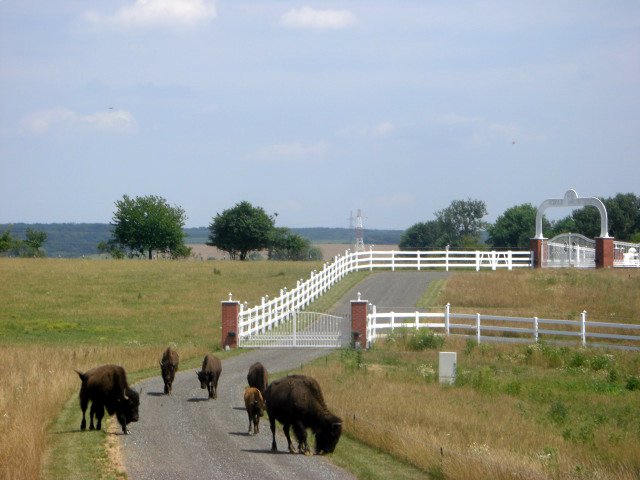 Southfork Ranch Ungarn